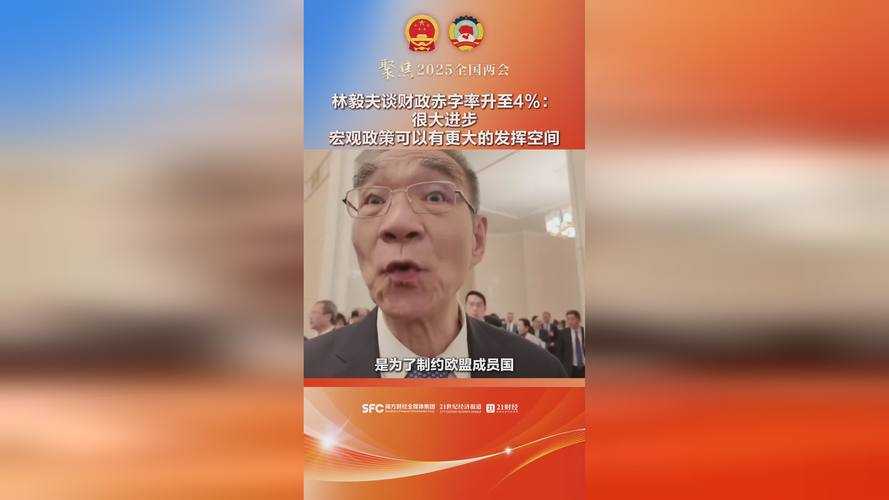 全球宝藏林毅:探索财富密码与投资传奇