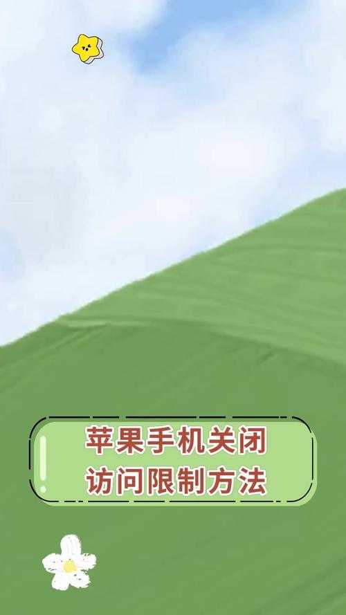 如何解决手机网址无法访问的问题?