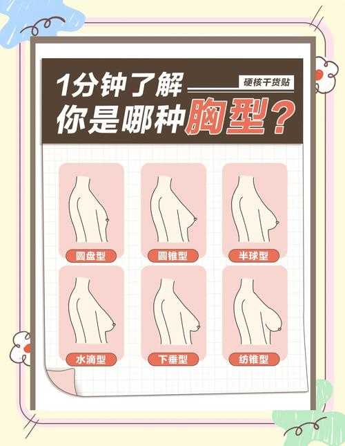 胸型模拟器在线体验-精准胸型分析与模拟工具