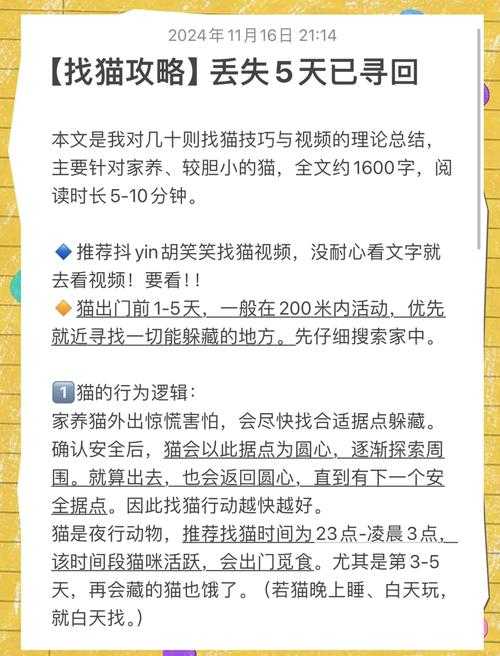 如何玩转抓猫游戏?游戏名字叫什么?