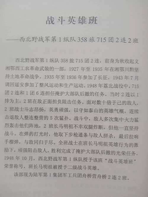 如何描述抗日特战精英部队的英勇事迹?