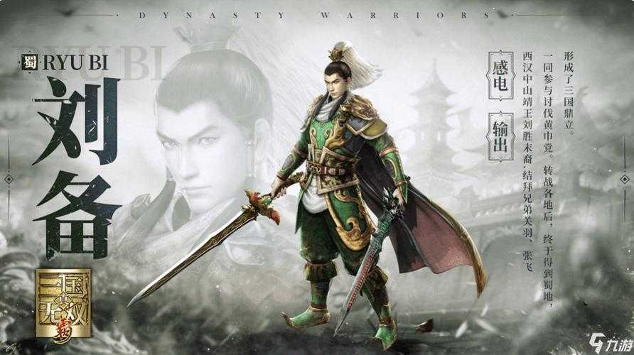 真三国无双霸武将搭配都有哪些