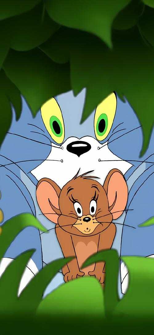 猫和老鼠