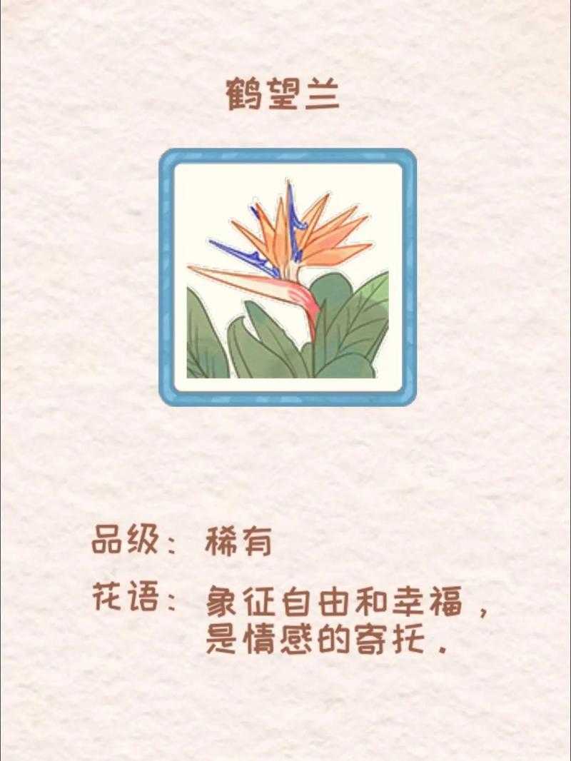 花店物语鹤望兰怎么获得