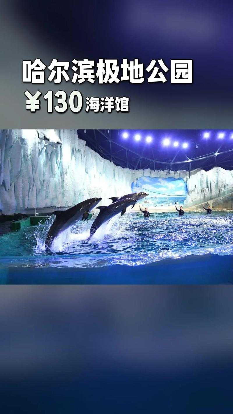 全球首个冰雪海洋主题乐园:沉浸式极地海洋奇幻体验
