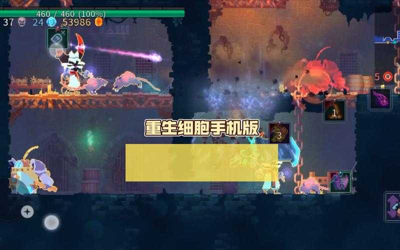 重生细胞旧下水道五级钱袋怎么拿