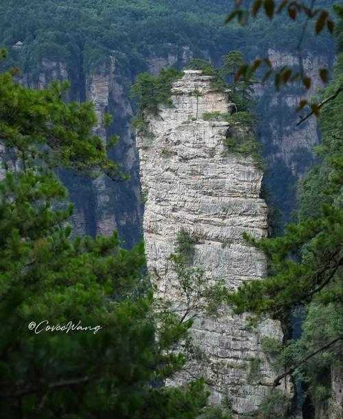 张家界阿凡达景点:探秘《阿凡达》电影灵感来源地