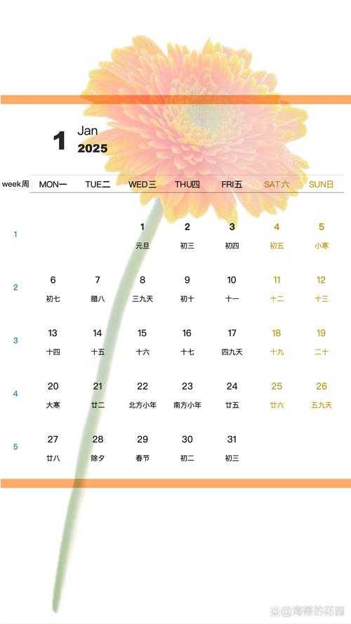 手机相册下载最新版本2025 - 官方正版免费安装