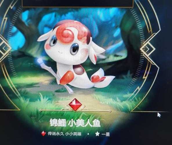 小小英雄小美人鱼哪个最好看