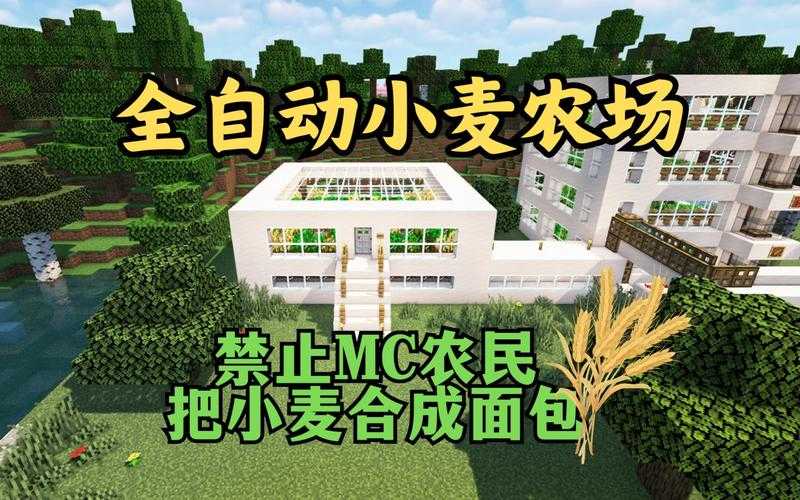 全自动农场我的世界:高效自动化种植与收获指南
