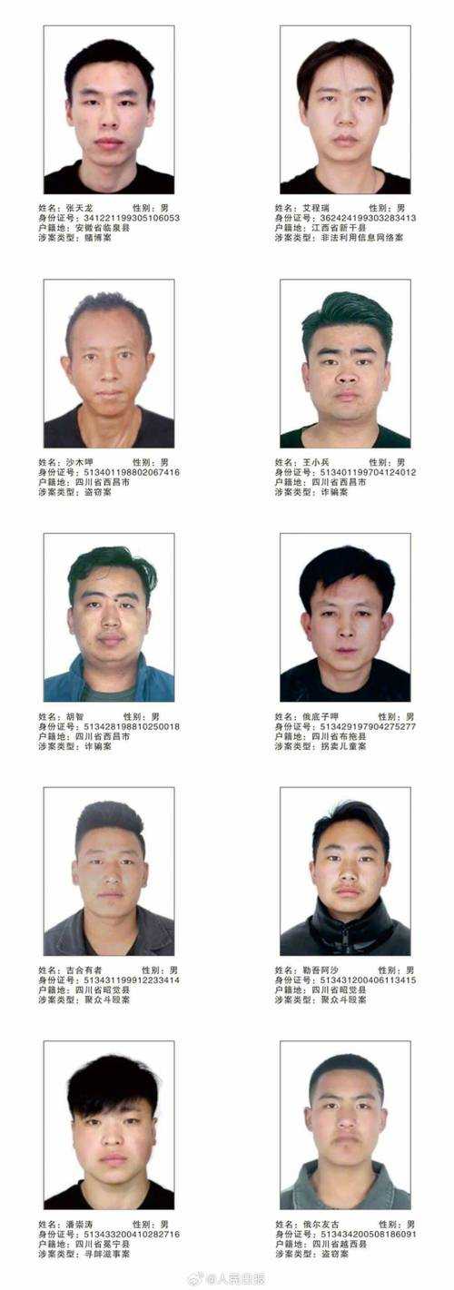 全网通缉查询系统在线查询 - 公安追逃信息实时查询平台
