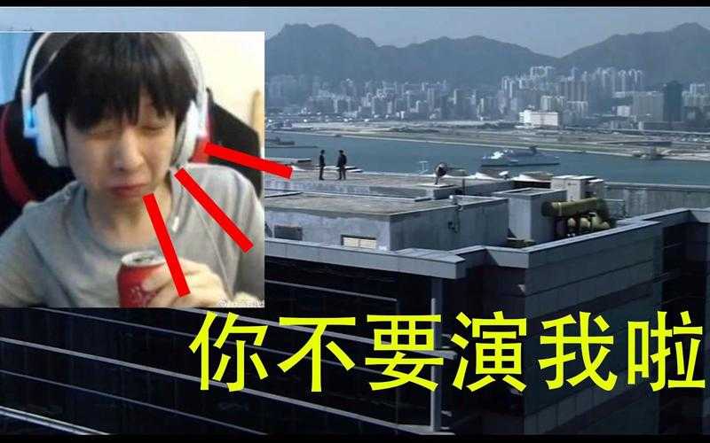 如何深入了解MGB战队的战术与实力?