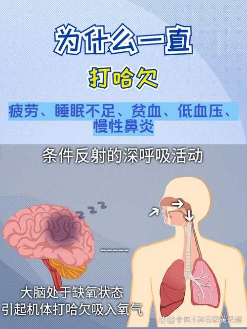 打哈欠是否都是因为疲劳困倦？原因何在？