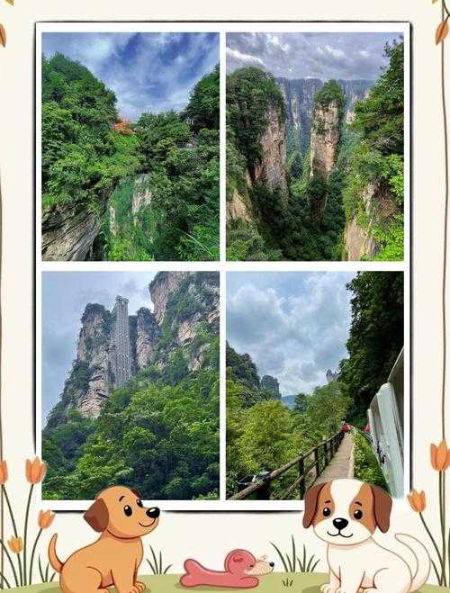 张家界红日传奇:绝美日出奇观与神秘传说全揭秘