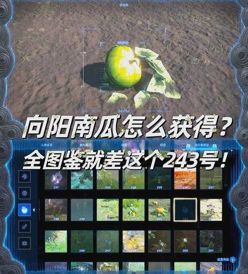 龙之国物语南瓜在哪找