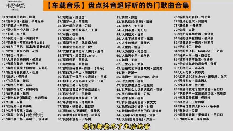 如何轻松获取抖音上的热门歌曲排行榜?