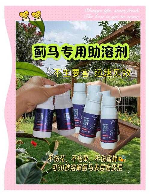 如何运用法力蓟进行日常防护?