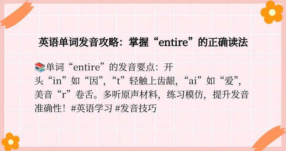 entire的变形及常见用法全解析