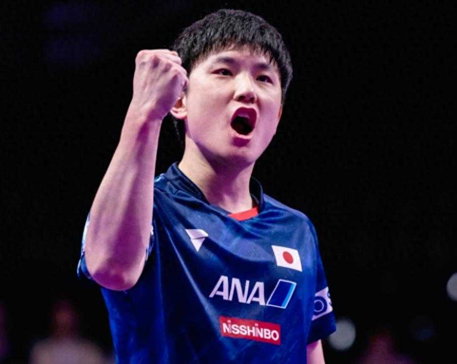 张本智和3-0横扫对手强势一串三 日乒天才展现统治级表现