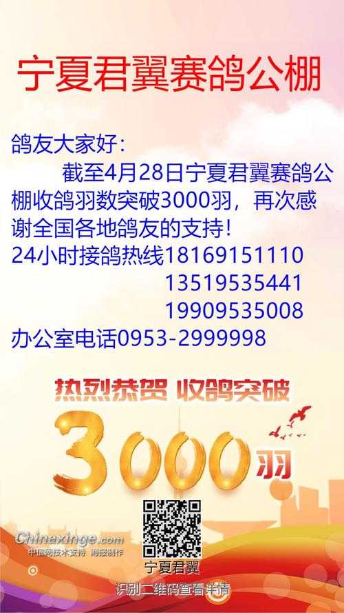 公棚直播网一协会直播网_最新赛鸽公棚比赛直播_信鸽赛事在线观看
