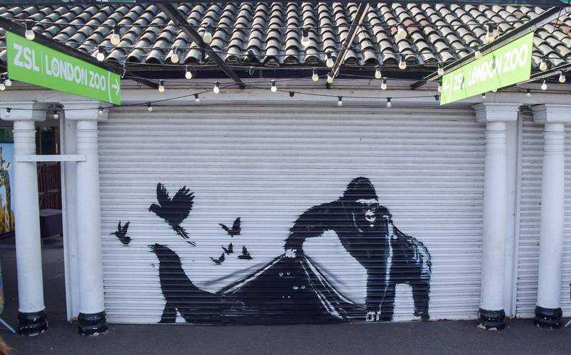 涂鸦如何转化为生动真实的艺术作品?