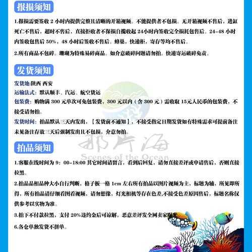 小森生活海虫可以购买吗