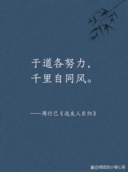 江湖再见是什么意思?江湖再见的含义与用法解析