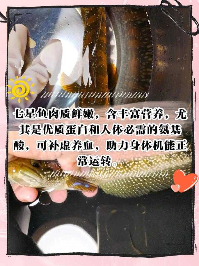 七星鱼了是什么意思?解析七星鱼的含义与来源