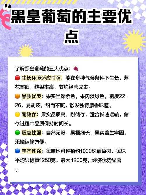 黑了木耳紫了葡萄是什么意思?解析网络流行语背后的含义