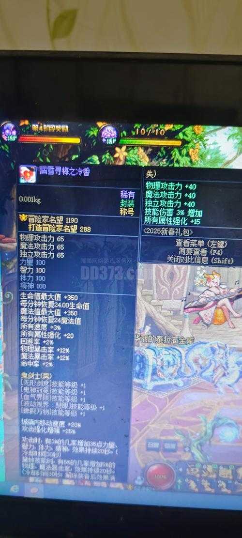 2025DNF瞎子武器终极排行榜及对比