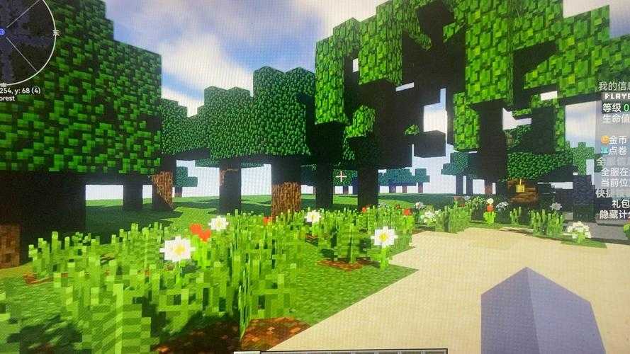 魔豆在哪我的世界 有时候 我的 种植园