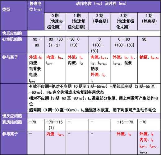 关于175化生带的选择:治疗还是速度?哪种更适合?
