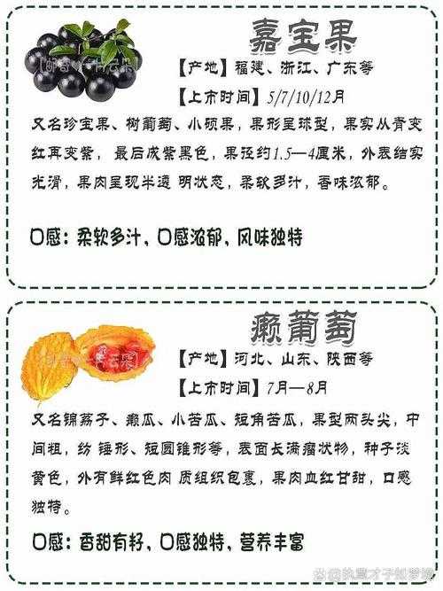如何排名并了解这124种恶魔果实的特性与价值?