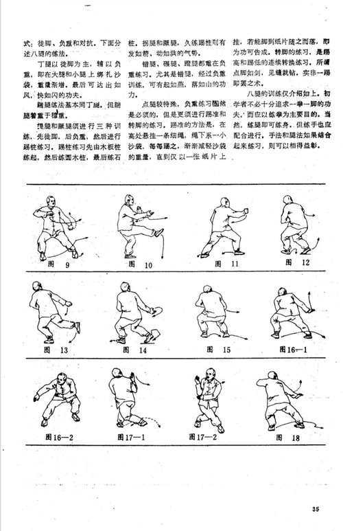 风拳流秘籍丢了怎么办 老拳师教你三招补救