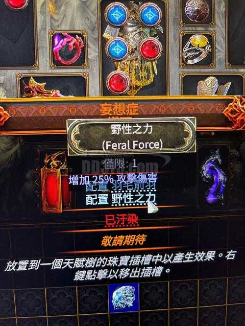 2025邪弓装备选择与实战数据