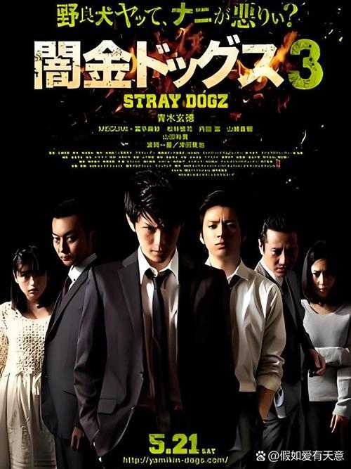 江西二套热播 黄金海岸 黑暗风暴 这部韩剧凭什么让人熬夜追