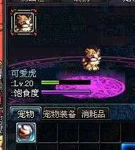2025DNF可爱虎属性全解析