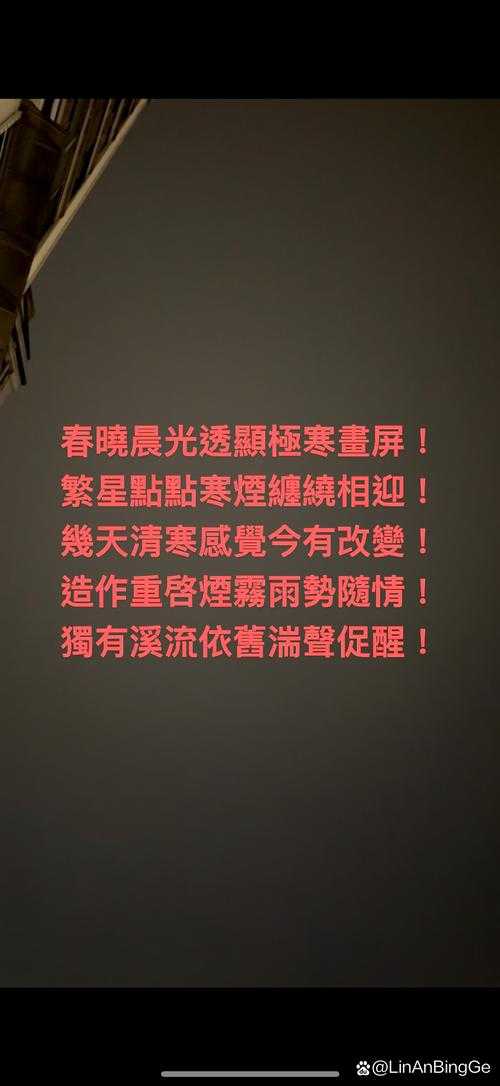 清晨五点 手机屏幕在黑暗中亮起微光 我熟练地掐着子午诀调息打
