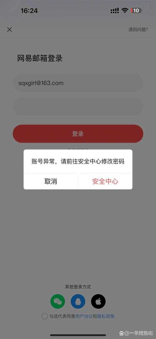 如何安全应对我的163邮箱被盗并手机号被更改的问题?