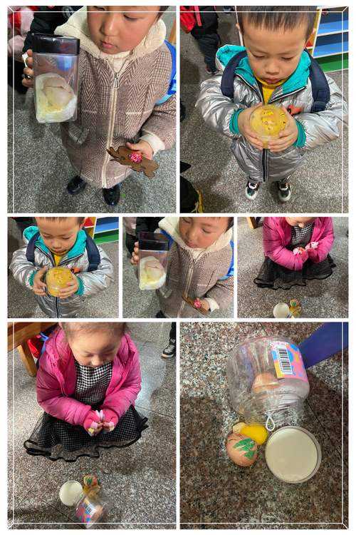 如何确保007的蛋安全与完整？如何妥善保存与保护宠物蛋？