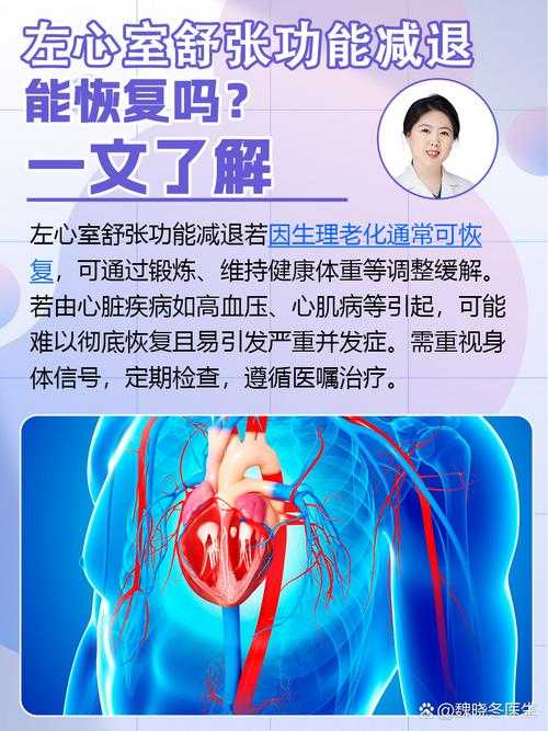 2025心脏舒张期科学解读与生活实践