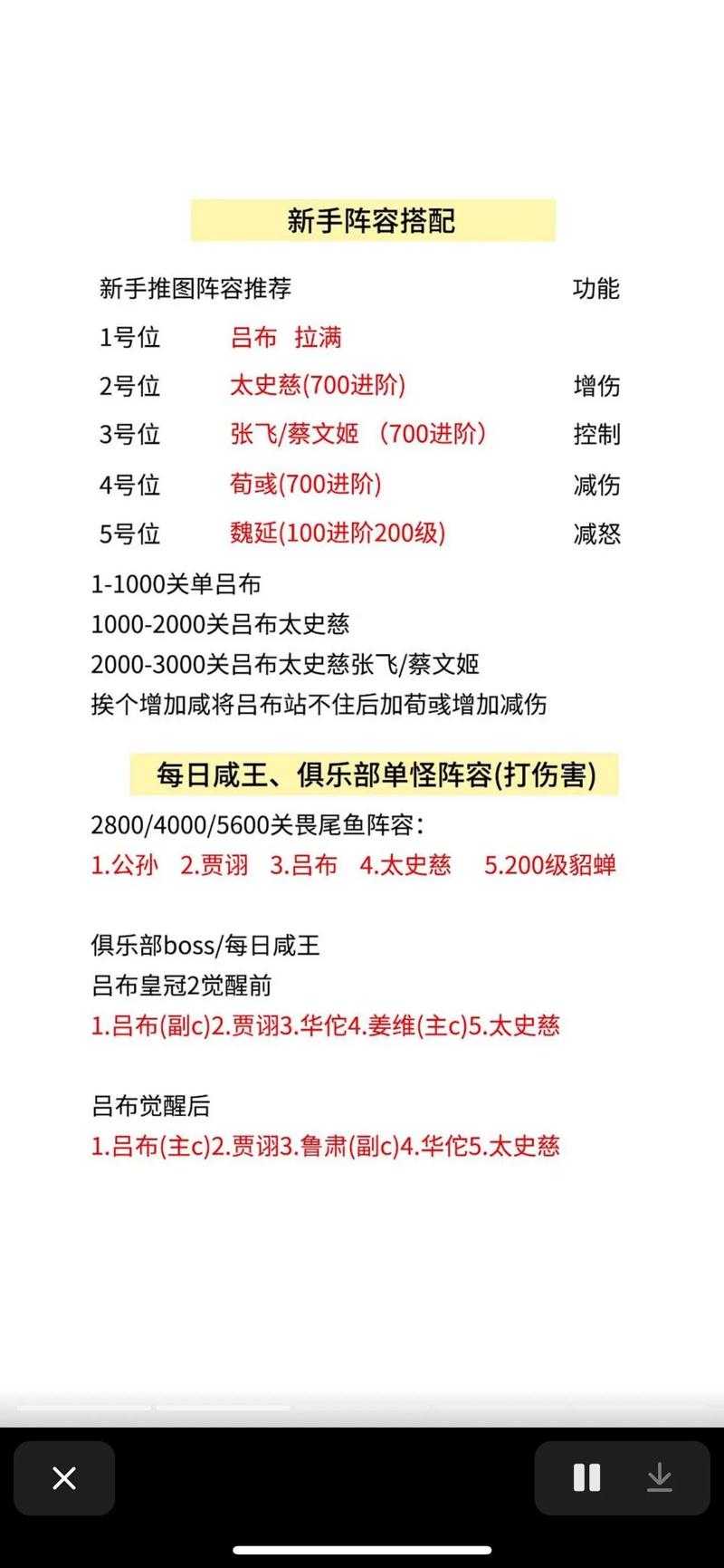 《咸鱼之王》双华佗阵容2025终极优化指南(附实战数据)