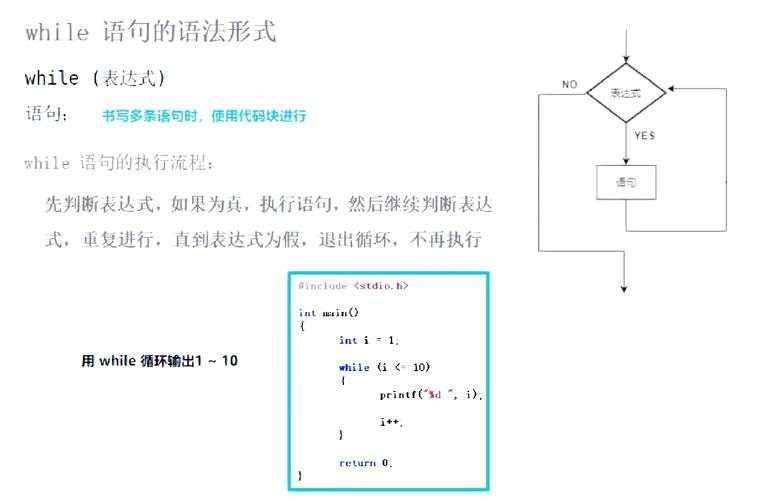 2025 C语言无限循环两种方式对比解析