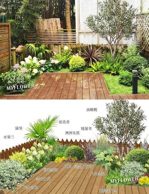 如何打造美观且实用的花园？设计灵感植物选择与养护技巧全解析