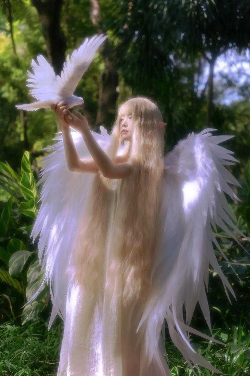 揭秘神秘的十二翼天使真相：天使的翼数与象征意义是什么？