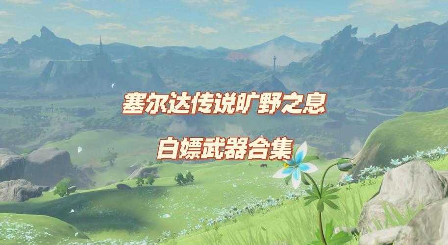 塞尔达传说 荒野之息 全武器附魔指南 类型解析 强化对比与高