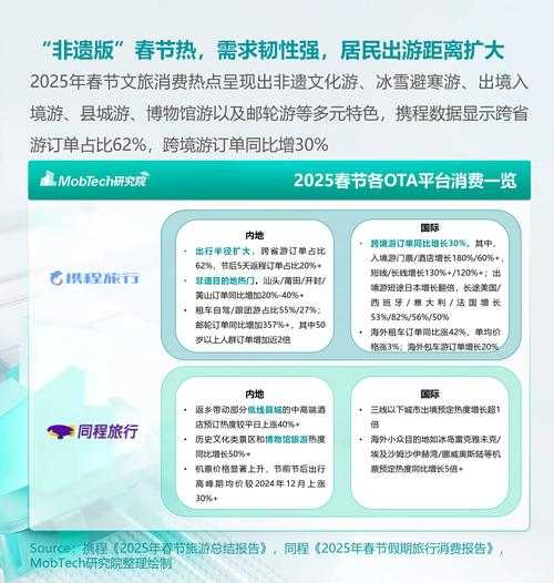 以下是对《2025年中国电子消费券使用指南》的优化整理与深度解读，采用结构化呈现并标注关键数据指标：