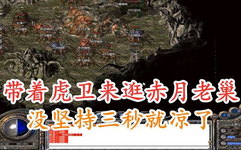 热血虎卫2025觉醒装备战术生存全攻略