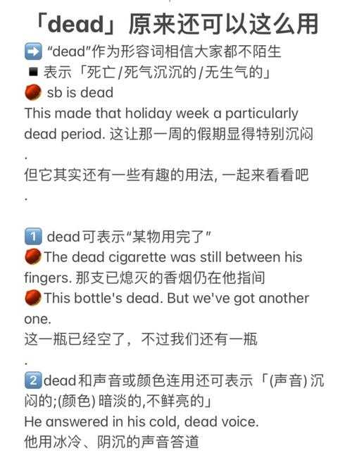 Dead同义词2025场景化使用指南