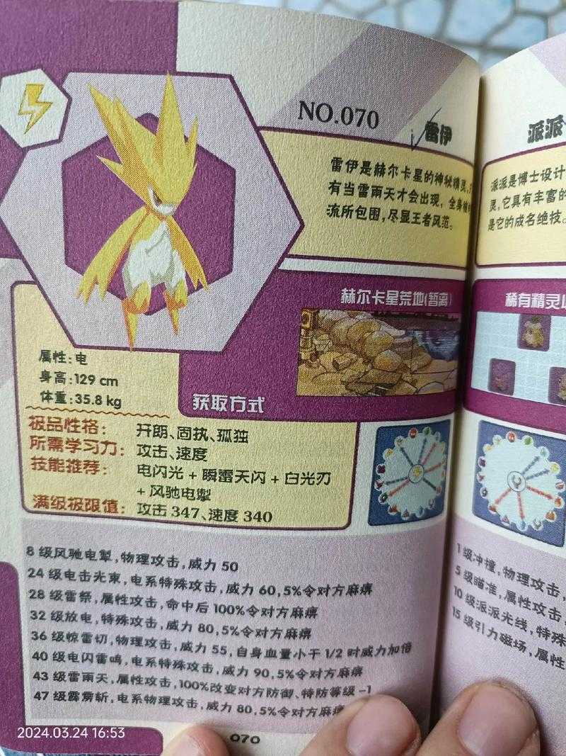 赛尔号雷伊特训装备选择指南：哪些装备最适合你的雷伊